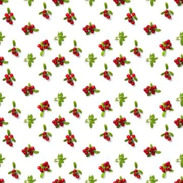 Lingonberry seamless pattern on white background. Fresh cowberries or cranber Stockfoto's