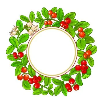Lingonberry vector frame Stock Illustration