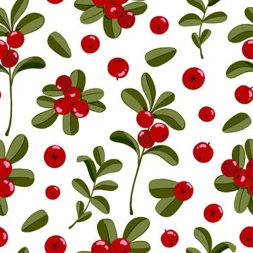 Lingonberry vector seamless pattern. Cowberry background. Northern red forest Stock Illustration