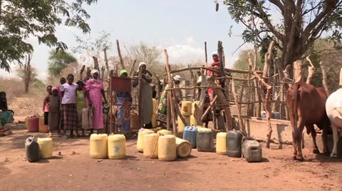 Lining Up for Water Stock Footage 8656563