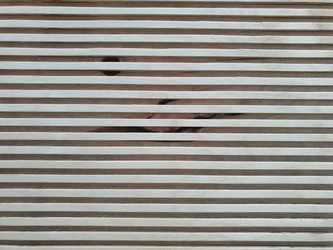 Linner Pattern background. veneer surface for interior and exterior manufactu Stock Photos