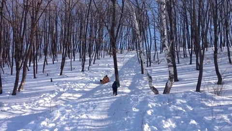 Linoleum sledges Stock Footage 122890290