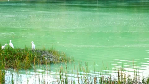 Linow lake 1 Stock Footage 156170187