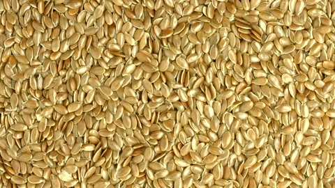 Linseed. Flaxseed Rotation Background. Flax seeds rotate. Linen seed Stock Footage