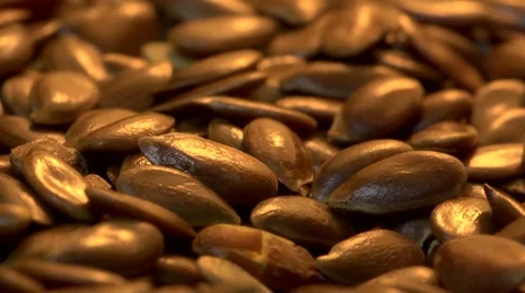 Linseed grains falling and piling up. Slow motion Backlit. Stock Footage