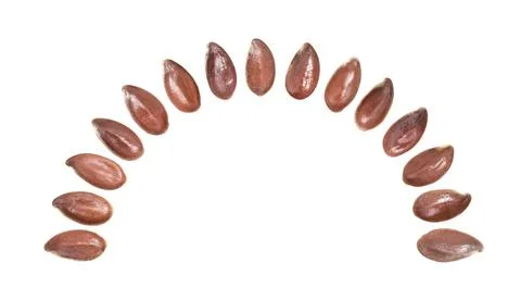 Linseed in a half circle Stock Photos