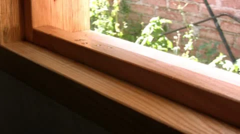 Linseed oil Stock-Footage 8950951