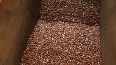 Linseed oil production. Machine for squeezing oil from flaxseed Stock Footage 146646186
