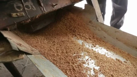 Linseed oil production. Machine for squeezing oil from flaxseed Stock Footage 146646252