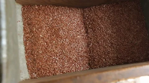 Linseed oil production. Machine for squeezing oil from flaxseed Stock Footage 146646285