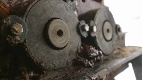 Linseed oil production. Machine for squeezing oil from flaxseed Stock Footage 146646299