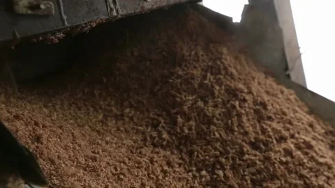 Linseed oil production. Machine for squeezing oil from flaxseed Stock Footage 146646371