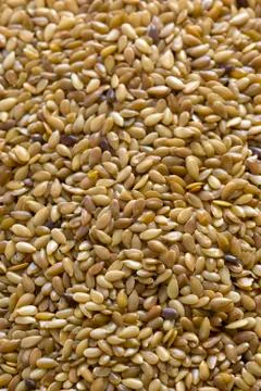 Linseed Stock Photos