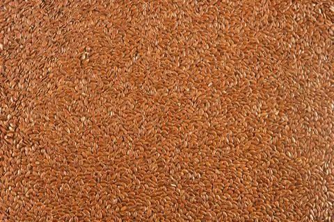 Linseed Stock Photos