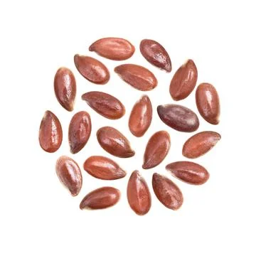 Linseeds in circular group Stock Photos