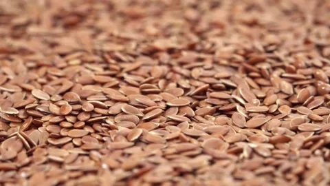 Linseeds panning video Stock Footage 244566870