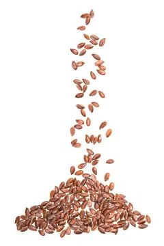 Linseeds on white background Stock Photos