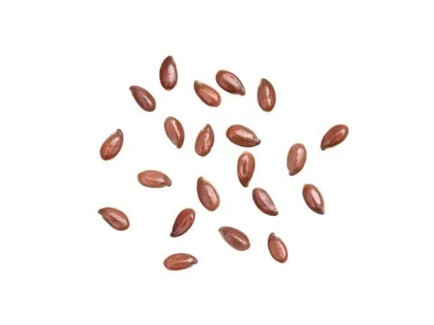 Linseeds on white background Stock Photos