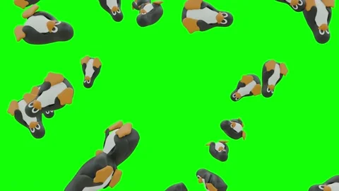 Linux Penguins Falling On Green Screen With Alpha Matte Stock Footage 154744728