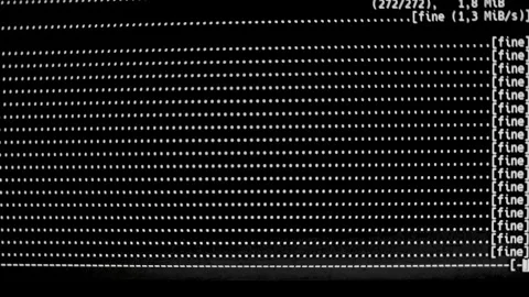 Linux Terminal Update Progress Screen Command Line Interface Display Stock Footage 316137664