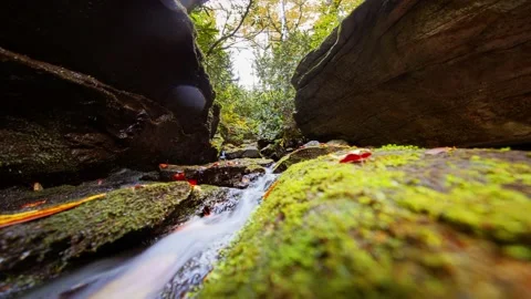 Linville Cascade Stock Footage 163053966