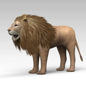 3d Model Lion Buy Now Pond5