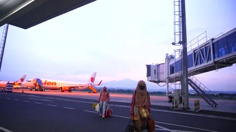 Lion air Stock Footage 142741984