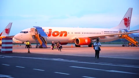 Lion air Stock Footage 142742121