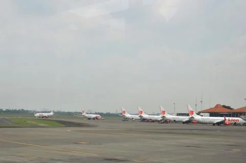 Lion Airplane 스톡 사진