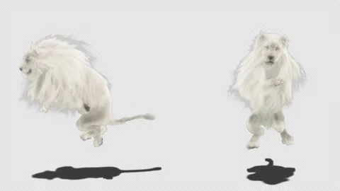 Lion, with Alpha Matte 動画素材 137906110