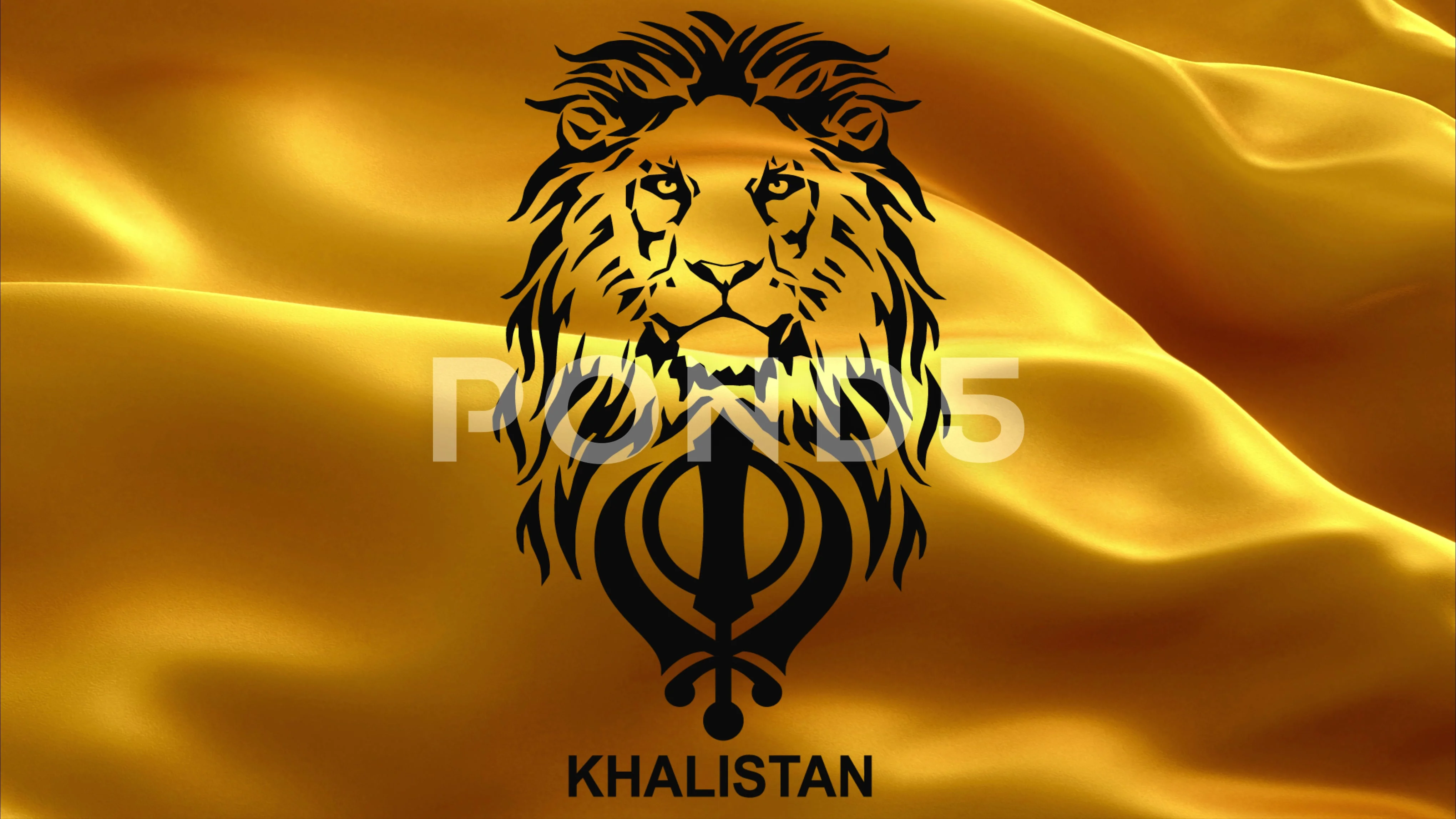 The Lion and main symbol of sikhism is t... | Stock Video | Pond5