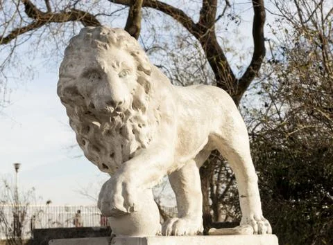 Lion Architecture 스톡 사진