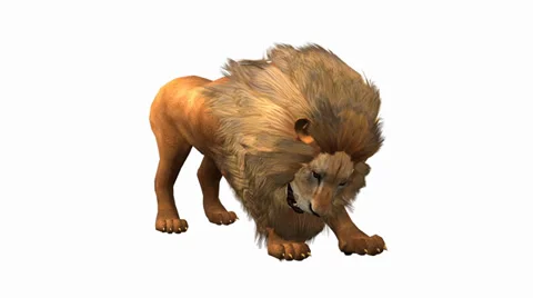 Lion attack bite eating,Endangered wild animal wildlife. Stock Footage 38611765