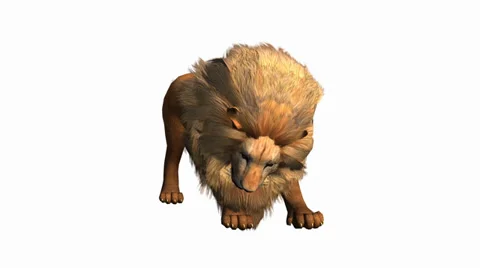 Lion attack bite eating,Endangered wild animal wildlife. Stock Footage 38616600