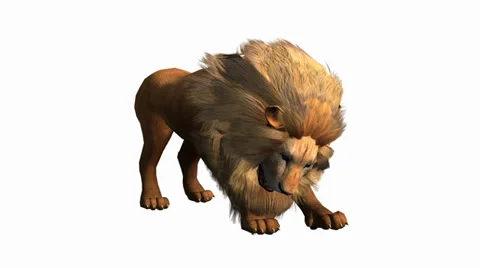 Lion attack bite eating,Endangered wild animal wildlife. Stock Footage 38634214