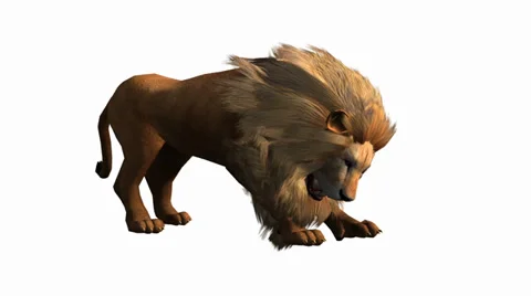 Lion attack bite eating,Endangered wild animal wildlife. Stock Footage 38634762