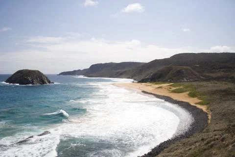 Lion Beach Stock Photos