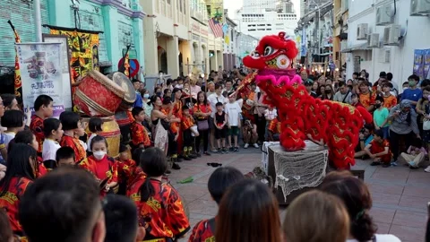 The lion costume flows dramatically in the air with every calculated movement. Видео 318269993