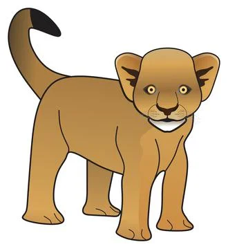 Lion cub vector drawing on isolated background cartoon mammal animal character Stock Illustration