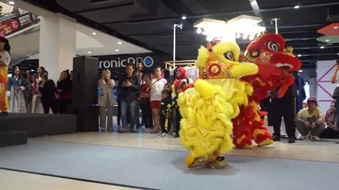 Lion Dance 01 Video stock 324109345