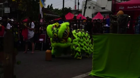 Lion Dance 02 Video stock 324109330
