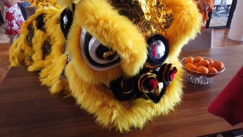 Lion Dance Close-up 動画素材 112729060