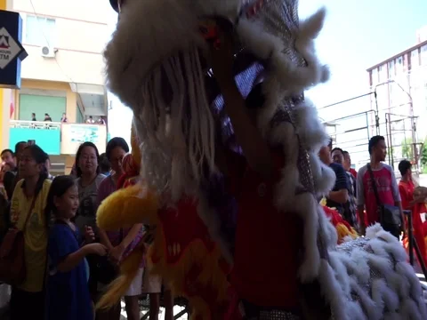 Lion dance Stock Footage 124236999