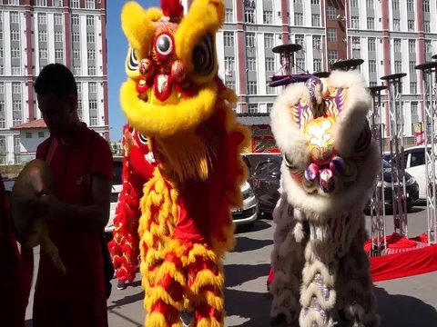 Lion dance Stock Footage 124237063