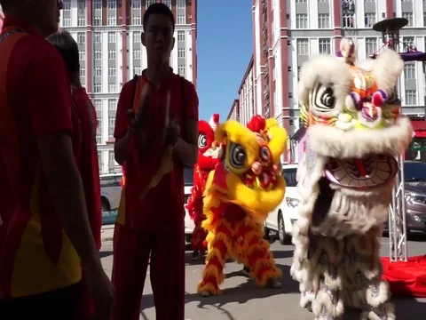 Lion dance Vidéo 124237070