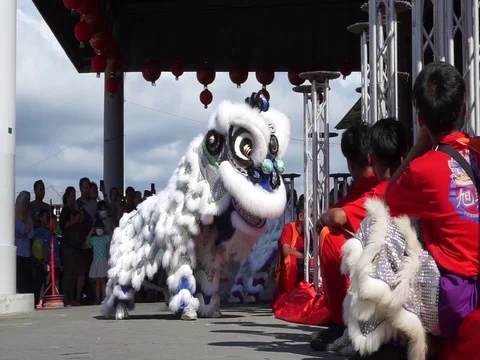 Lion dance Stock Footage 124237196