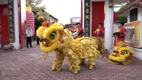 Lion Dance Stock Footage 231744705