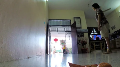 Lion Dance inside residential house 库存影片 34667474