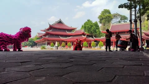 Lion dance with pagoda in the background Stock Footage 256090243