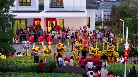 Lion dance performance at Eco Horizon 動画素材 327804665